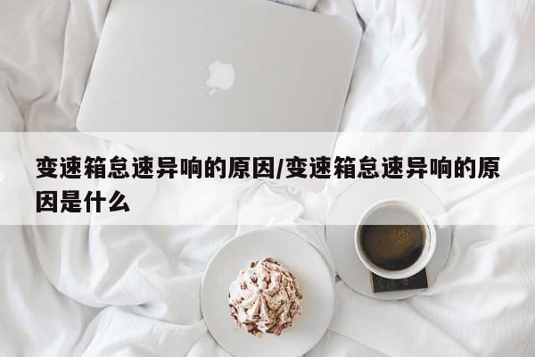 变速箱怠速异响的原因/变速箱怠速异响的原因是什么