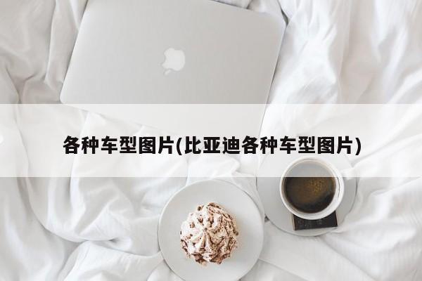 各种车型图片(比亚迪各种车型图片)