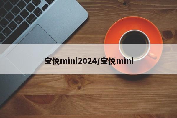 宝悦mini2024/宝悦mini