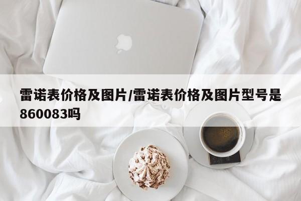 雷诺表价格及图片/雷诺表价格及图片型号是860083吗