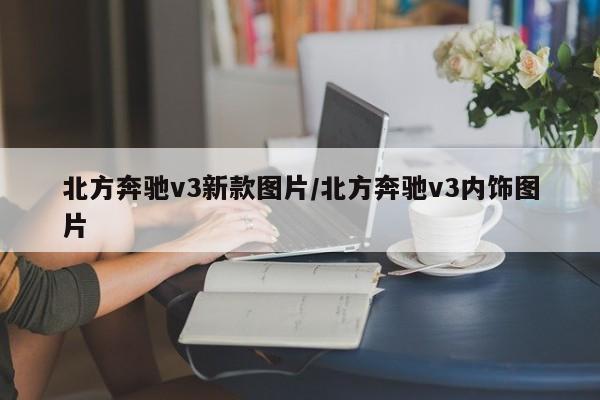 北方奔驰v3新款图片/北方奔驰v3内饰图片