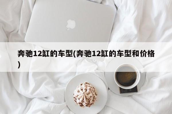 奔驰12缸的车型(奔驰12缸的车型和价格)
